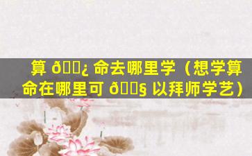 算 🌿 命去哪里学（想学算命在哪里可 🐧 以拜师学艺）